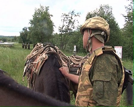 Kızıl Ordu'nun Kadrolu Atları Halen Görev Başında