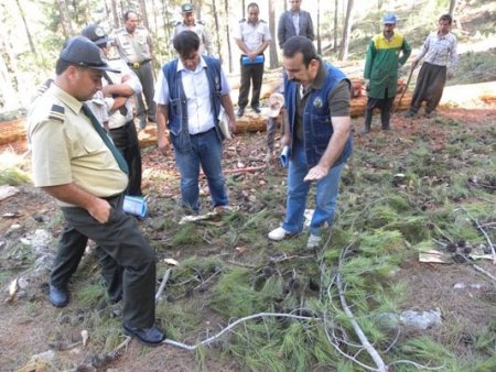 KKTC'den gelen ormancılara uygulamalı silvikültür eğitimi verildi
