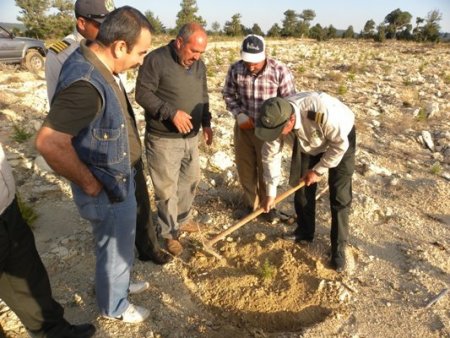 KKTC'den gelen ormancılara uygulamalı silvikültür eğitimi verildi