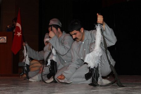 Koca Çınar Çanakkale'ye yoğun ilgi