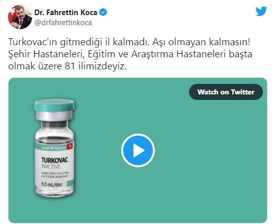 koca1.jpg