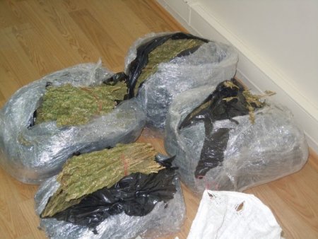 Kocaeli merkezli 16 ilde eş zamanlı kaçak sigara operasyonu