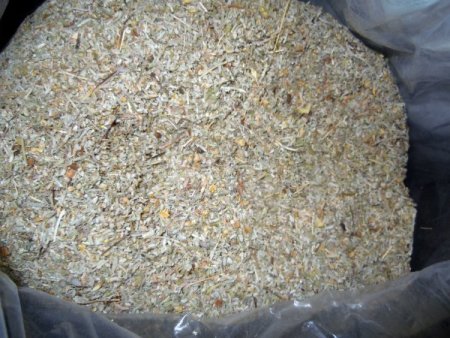 Kocaeli polisi, 10 kilogram bonzai ele geçirdi