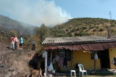 Kocaeli'de 30 Hektarlık Orman Yandı