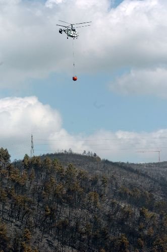 Kocaeli'de Orman Yangını Kontrol Altına Alındı