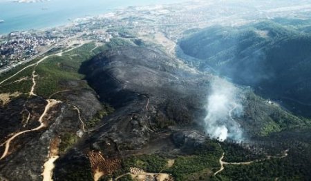 Kocaeli'deki Orman Yangınını, Anız Yakanlar Çıkarmış