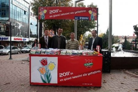 Kocaelililer 100 Bin Adet Lale Soğanı Aldı