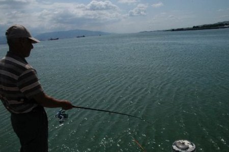 Kocaeli'nde Deniz Kırmızıya Büründü, Vatandaşlar Tedirgin