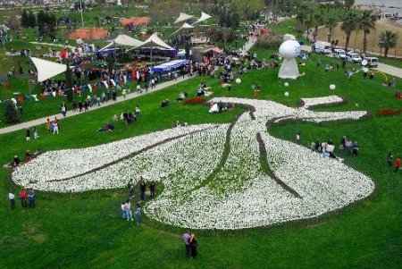 Kocaeli'nde en güzel lale yarışması renkli görüntülere sahne oldu