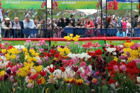 Kocaeli'nde en güzel lale yarışması renkli görüntülere sahne oldu
