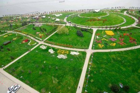 Kocaeli'nde en güzel lale yarışması renkli görüntülere sahne oldu