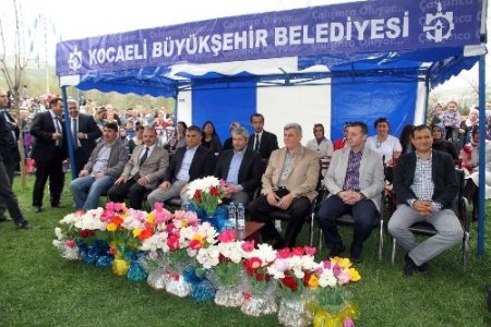 Kocaeli'nde en güzel lale yarışması renkli görüntülere sahne oldu