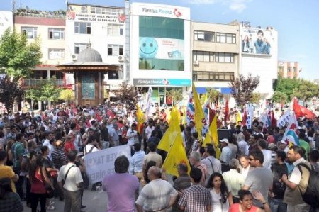 Kocaeli'nde Taksim'deki ağaç kesimine tepki