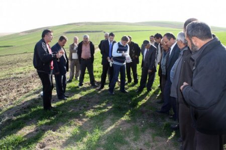 Koçak: Tarla Fareleri İle Mücadelenin Şimdi Tam Zamanı