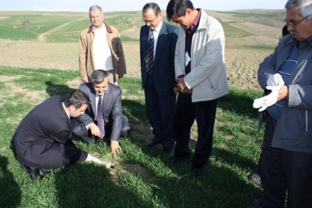 Koçak: Tarla Fareleri İle Mücadelenin Şimdi Tam Zamanı