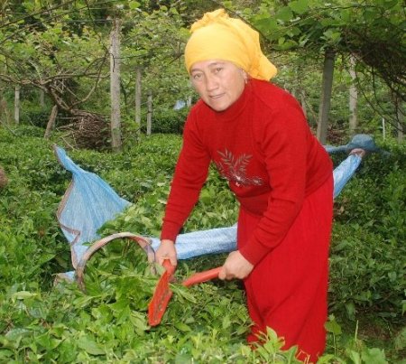 Kocası engelli kadın, balıkçılık yaparak çocuklarını okutuyor