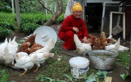 Kocası engelli kadın, balıkçılık yaparak çocuklarını okutuyor