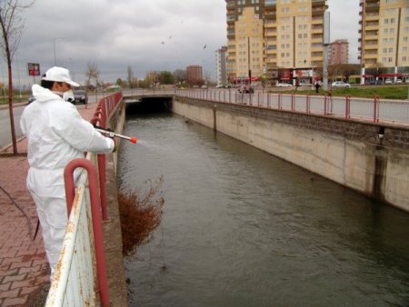 Kocasinan’da Haşereyle Mücadele İçin 400 Bin Lira Harcanacak