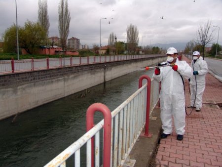 Kocasinan’da Haşereyle Mücadele İçin 400 Bin Lira Harcanacak