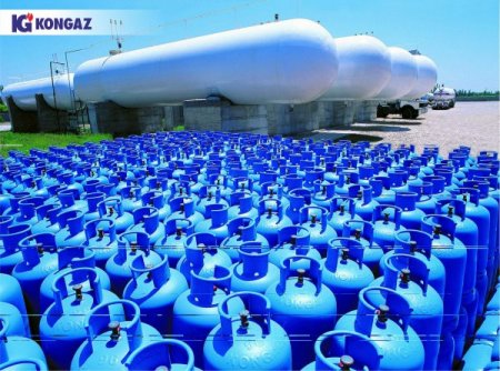 ‘Kombassan, 2012’de Konya’ya 1 milyar TL’nin üzerinde girdi sağladı’