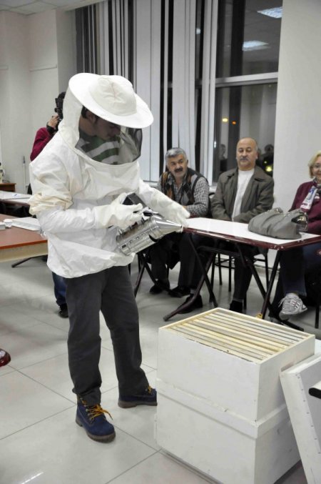 Komek'ten Arı Yetiştiriciliği Kursu