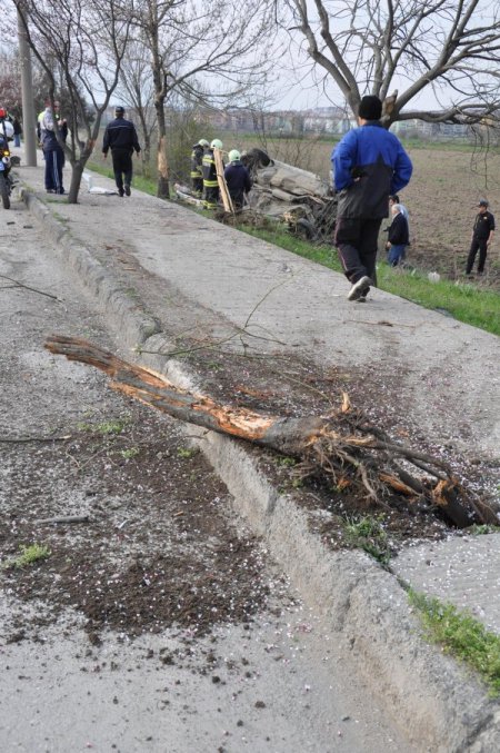 Kontrolden Çıkan Otomobil Ağaçları Kökünden Söktü