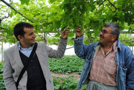 Kontrollü Tarımda Yüzde 100 Başarı Sağlayan Manavgat, Organikte De Atılım Yapacak