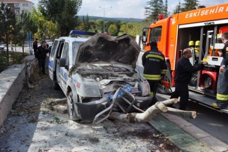 Kontrolünü kaybeden polis aracı, iki ağacı devirdikten sonra durabildi