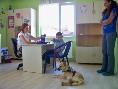 Konuşma güçlüğüne hayvan destekli terapi