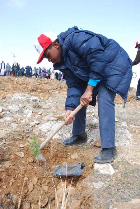Konya, 9 yılda 13 milyon fidanı toprakla buluşturdu