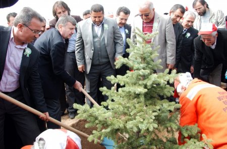 Konya, 9 yılda 13 milyon fidanı toprakla buluşturdu