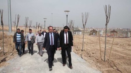 Konya'da ayda 10 bin kelebek uçurulacak