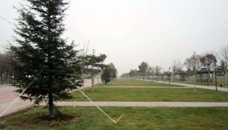 Konya'da kişi başına düşen yeşil alan 48 metrekareye çıktı