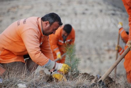 Konya'da kişi başına düşen yeşil alan 48 metrekareye çıktı