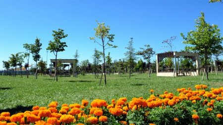 Konya'da kişi başına düşen yeşil alan 48 metrekareye çıktı