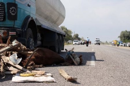 Konya'daki At Arabası Kazasında Ölenlerin Sayısı 4'de Yükseldi