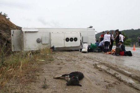 Köpeğe Çarpmamak İçin Ani Manevra Yapan Otobüs Kaza Yaptı: 25 Yaralı (2)