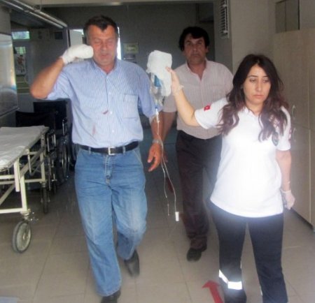 Köpeğe çarpmamak için takla atan araçta kopan parmak hastaneye yetiştirildi