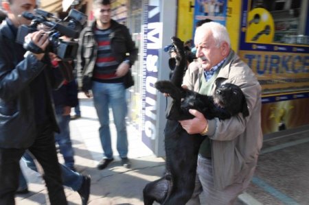 Köpeğin saldırısından korkarak ateş açan kişi, kadını ve köpeği yaraladı