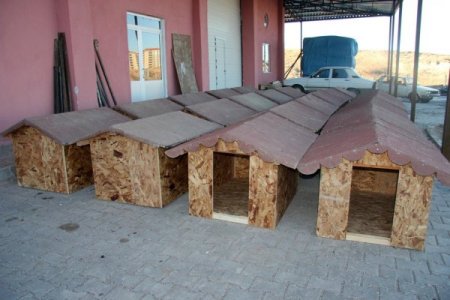 Köpekler için 58 yuva yapıldı