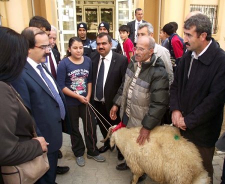 Köprü Yardımlaşma Derneği'nden 100 Aileye Kurbanlık Küçükbaş Hayvan