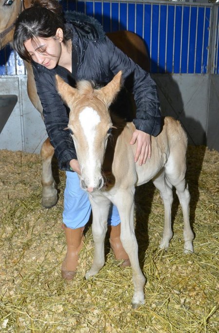 Kordon’un yeni misafirleri İmbat ve Meltem