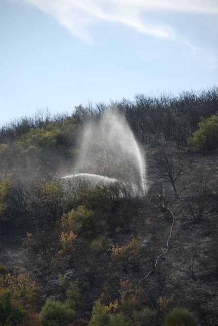 Körfez'de bir hektarlık ormanlık alan yandı