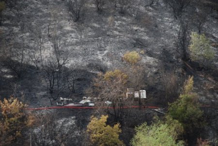 Körfez'de bir hektarlık ormanlık alan yandı