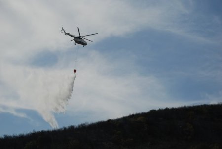 Körfez'de bir hektarlık ormanlık alan yandı