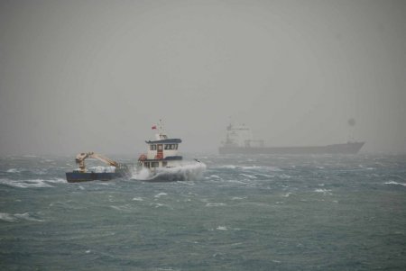 Körfezde fırtına ağaçları söktü