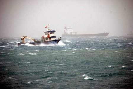 Körfezde fırtına ağaçları söktü