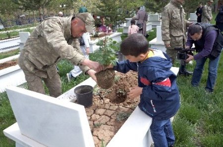 Korunmaya muhtaç çocuklar, şehit mezarları üzerine gül fidanı dikti, dua etti