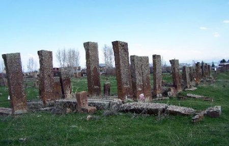Köşk'te İkinci Ahlat Zirvesi Yapılacak