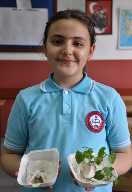 Kötü Söz Tohumu Çürüttü, Güzel Söz Filizletti